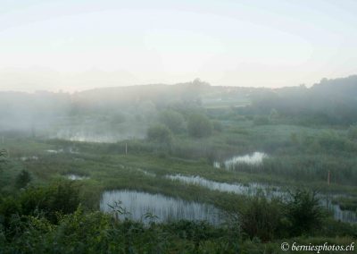 Brume du petit matin à Auried