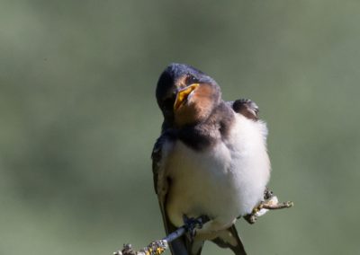 Svp!!!