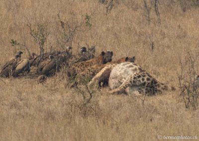 Le déjeuner sur l'herbe version africaine